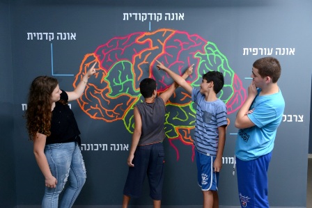 תפעילו ת'מוח! תערוכה אינטראקטיבית מרתקת במכון ויצמן